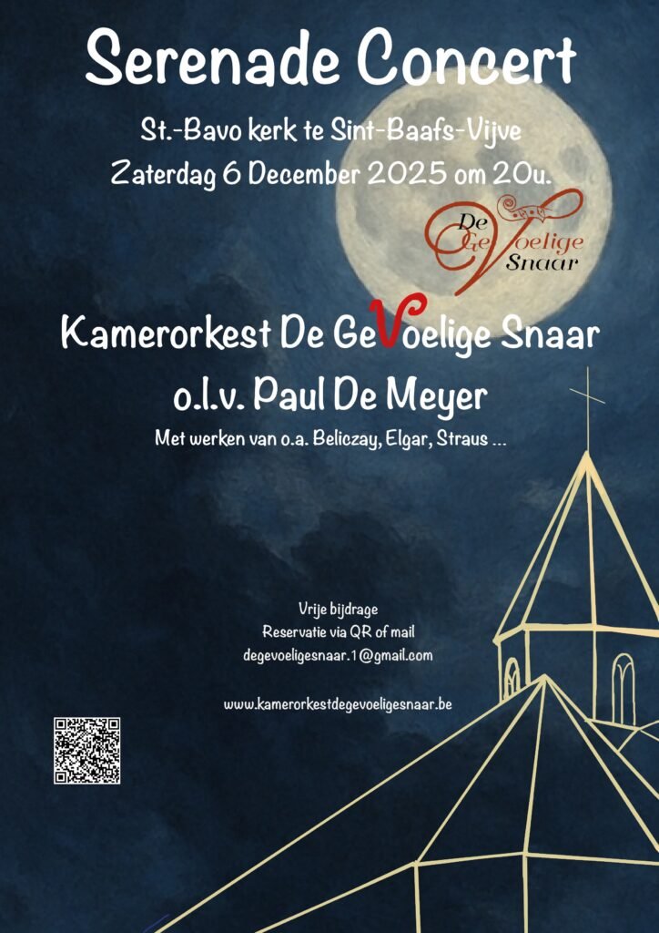 Affiche De GeVoelige Snaar concert 61225 1